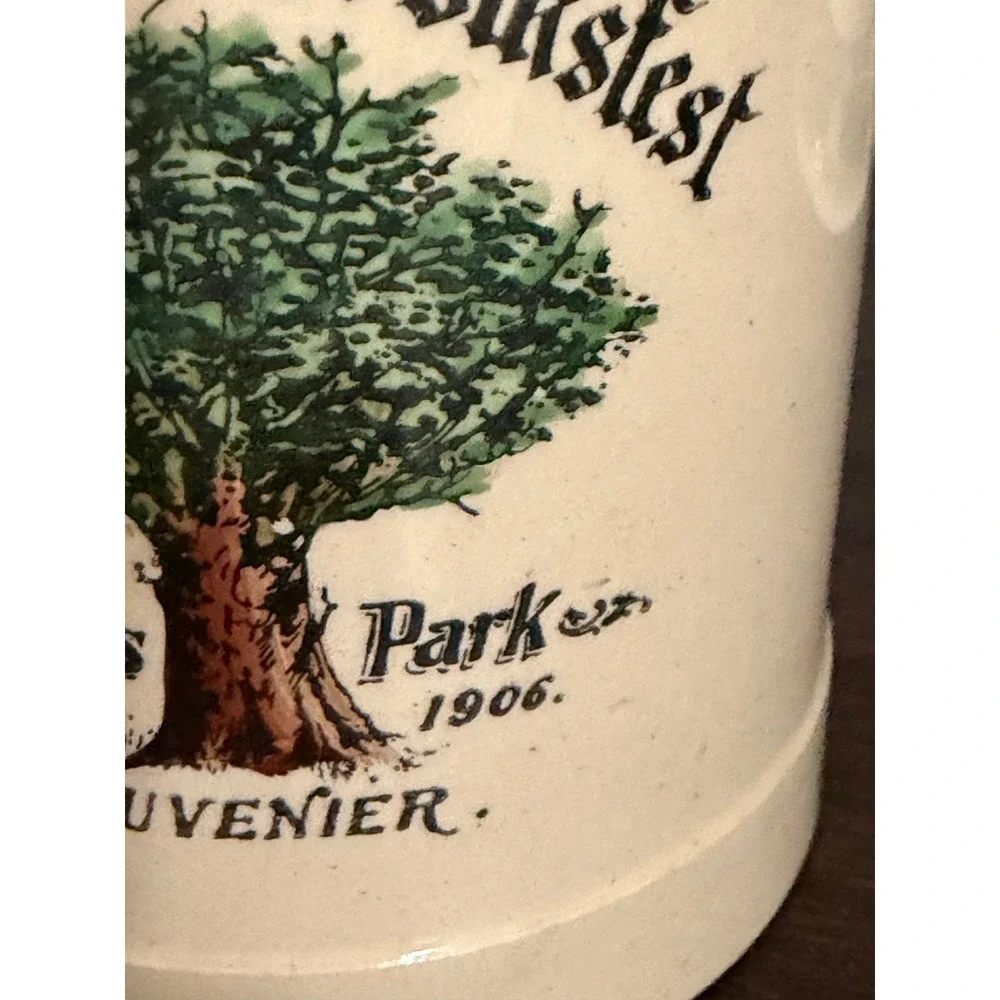 Vintage Stoneware Beer Stein Plattdütsches Volksfest Brands Park Souvenir 1906